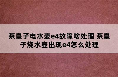 茶皇子电水壶e4故障啥处理 茶皇子烧水壶出现e4怎么处理